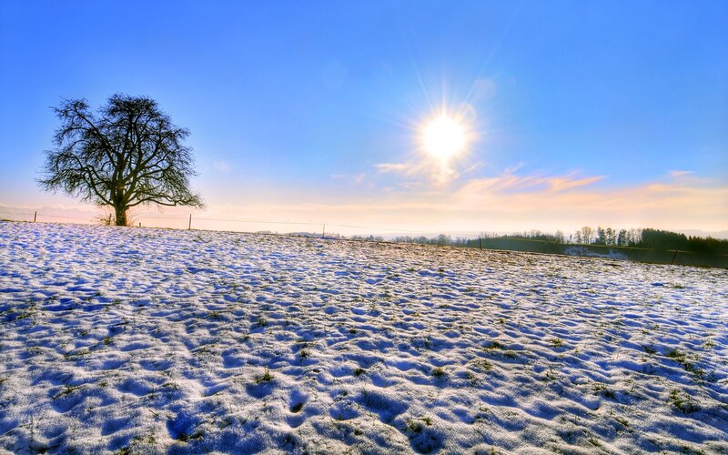 Solitary Tree in Snow — Blue, Serene, Winter, Photograph, Sun, Sky
