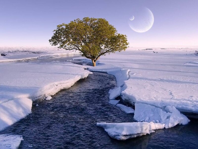 Solitary Tree in Snow — White, Serene, Winter, Digital Art