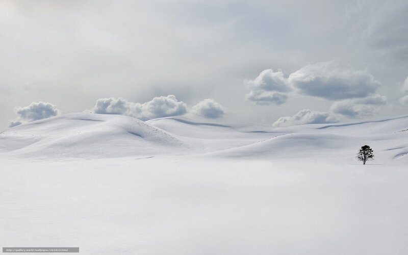Solitary Tree in Snow — White, Serene, Winter, Photograph, Clouds, Hills