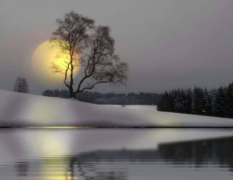 Solitary Tree in Snow — White, Serene, Winter, Photograph, Lake
