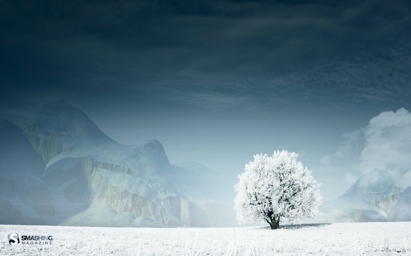 solitary tree in snowy landscape