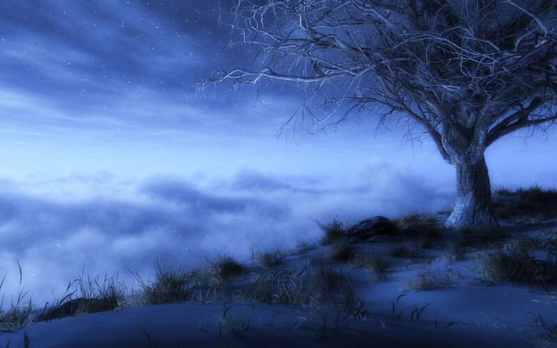 solitary tree in snowy landscape