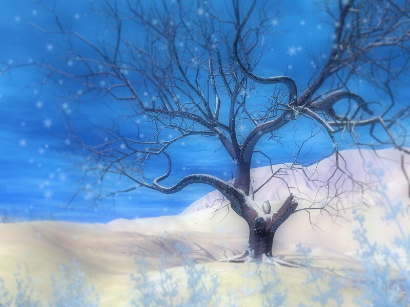 solitary tree in snowy landscape