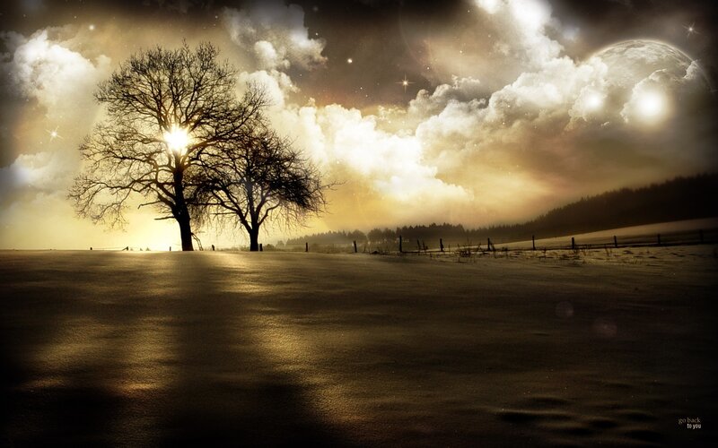 Solitary tree in snowy landscape