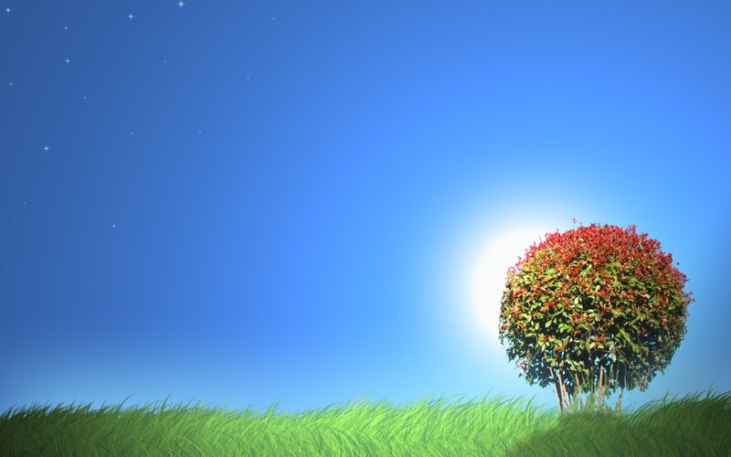 solitary tree in starry sky
