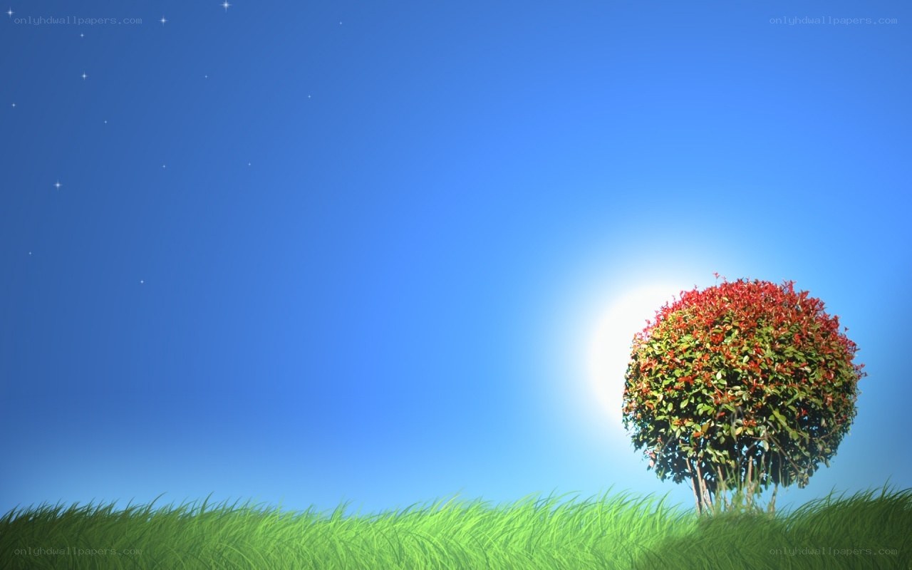 solitary tree in starry sky