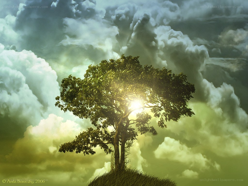 Solitary tree in stormy sky