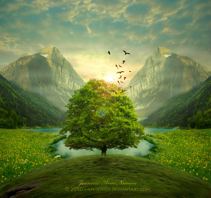 Solitary Tree in Valley — Green, Serene