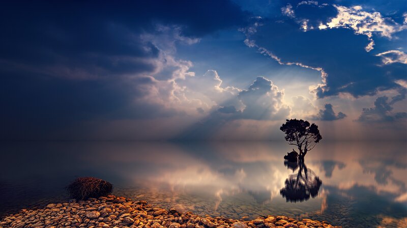 Solitary Tree in Water — Blue, Dramatic, Sunset, Photograph, Clouds