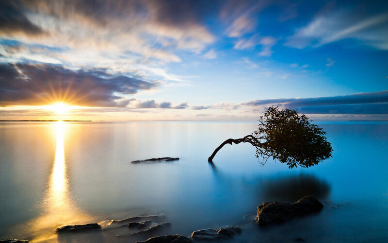 Solitary Tree in Water — Blue, Serene, Sunset, Photograph, Sun, Clouds, Rocks