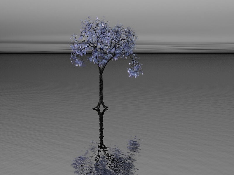 Solitary Tree in Water — Gray