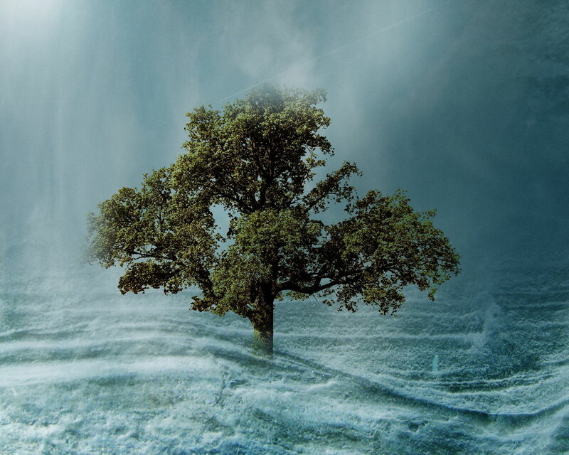 Solitary Tree in Water — Green, Dramatic, Digital Art