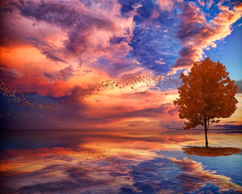 Solitary Tree in Water — Orange, Dramatic