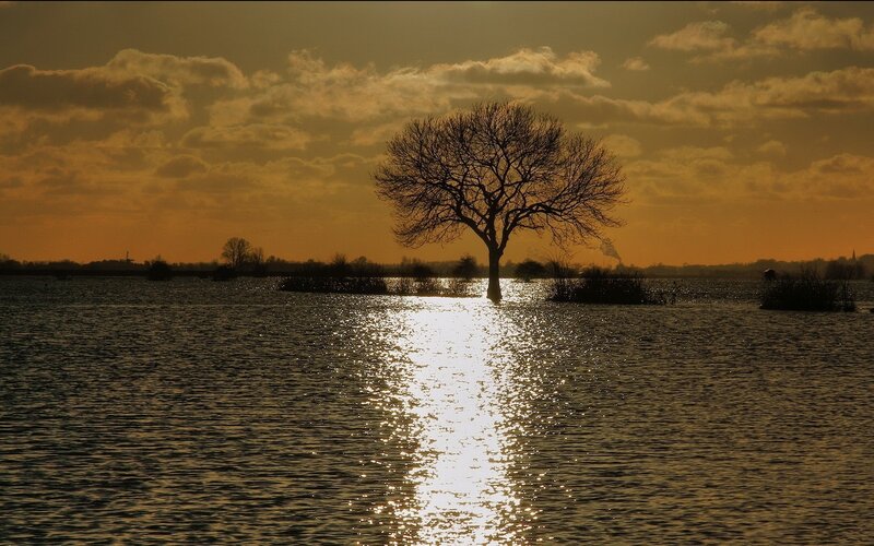 Solitary Tree in Water — Orange, Serene, Sunset, Photograph, Sky, Clouds, Brown