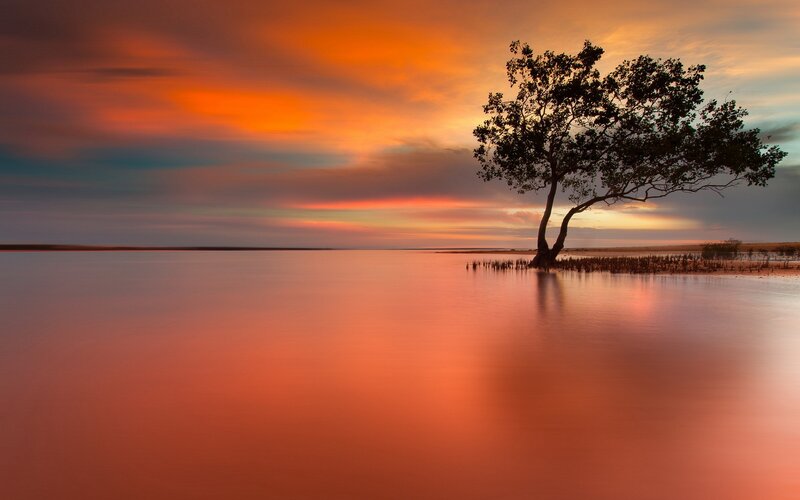 Solitary Tree in Water — Orange, Serene, Sunset, Photograph, Sky, Red