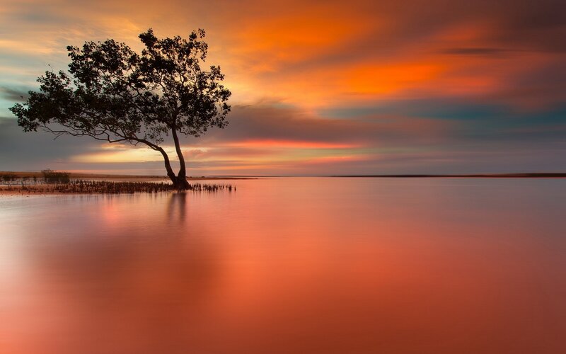 Solitary Tree in Water — Orange, Serene, Sunset, Photograph, Sky
