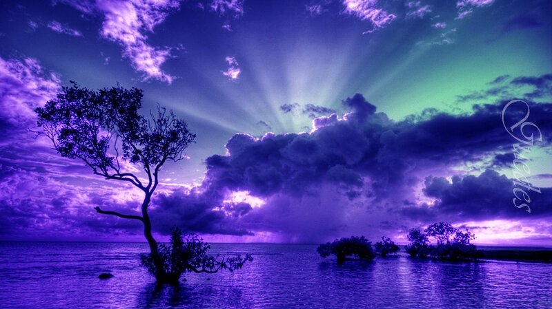Solitary Tree in Water — Purple, Dramatic