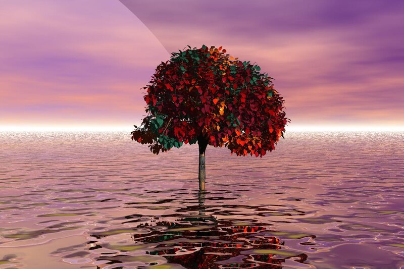 Solitary Tree in Water — Purple