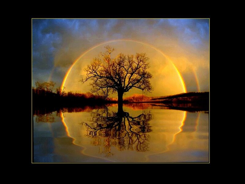 Solitary Tree in Water — Yellow