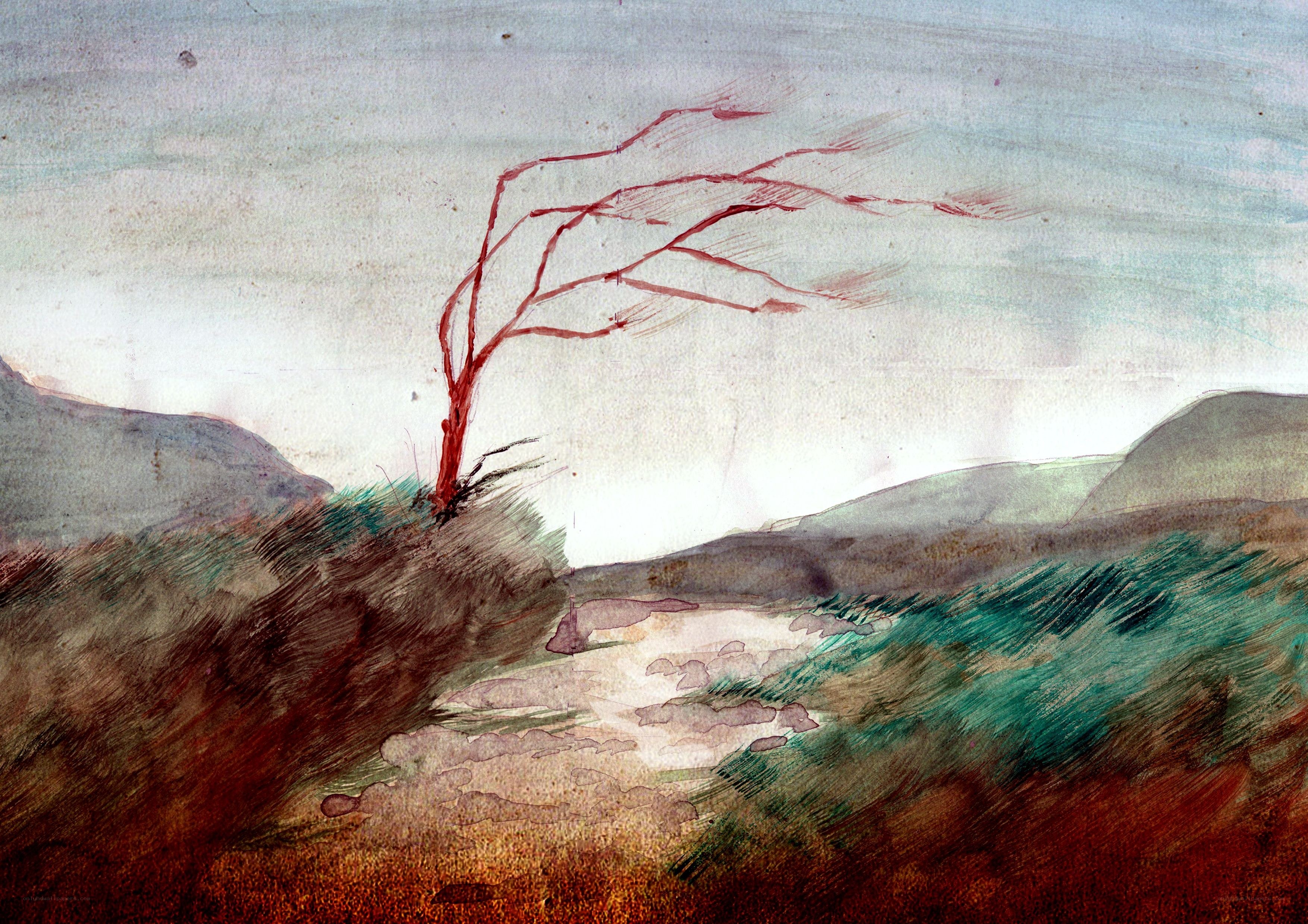 solitary tree in windswept landscape