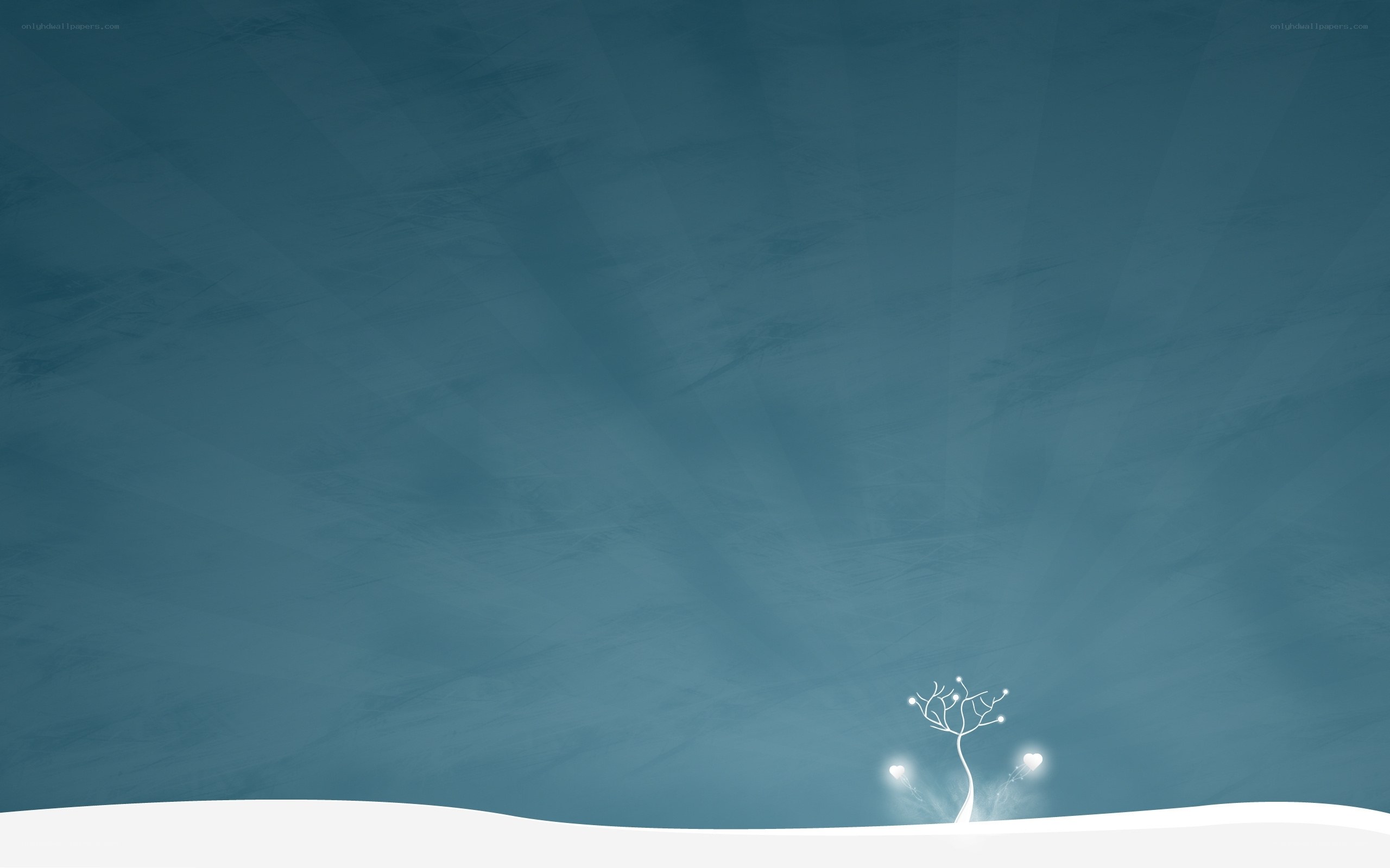 solitary tree in winter