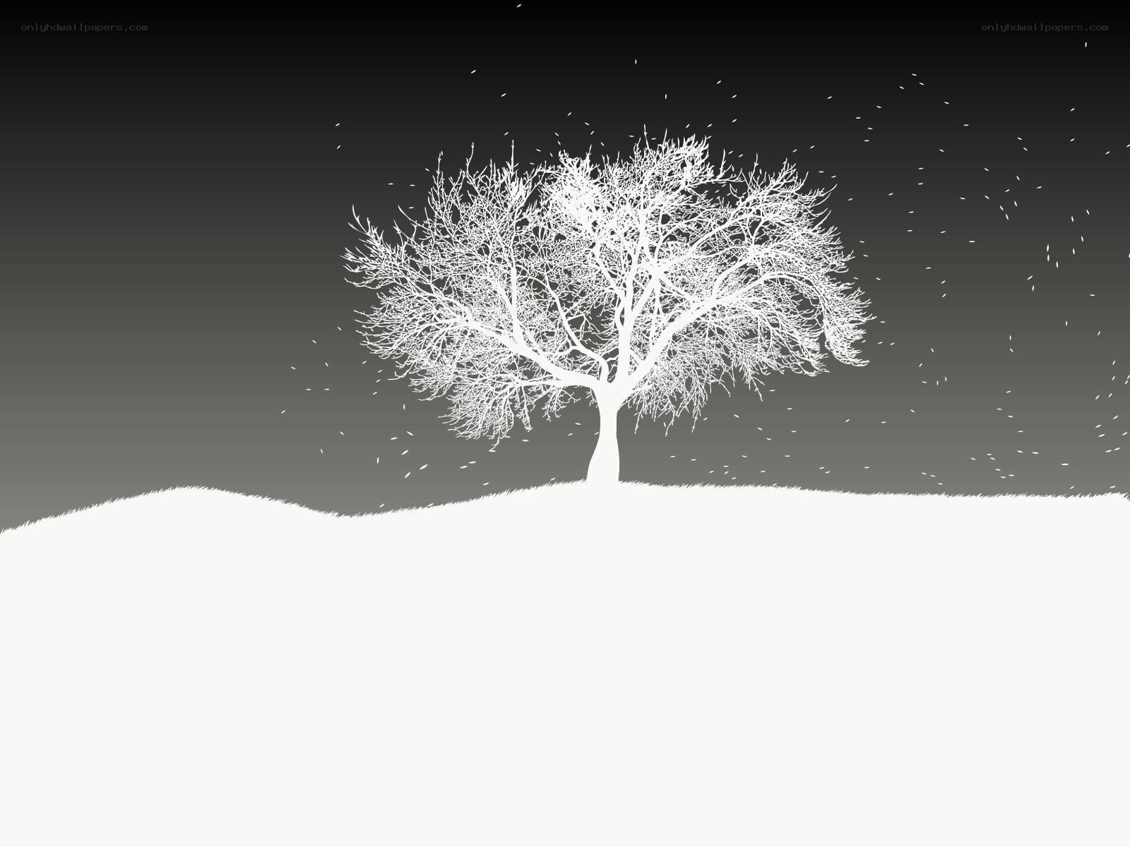 solitary tree in winter
