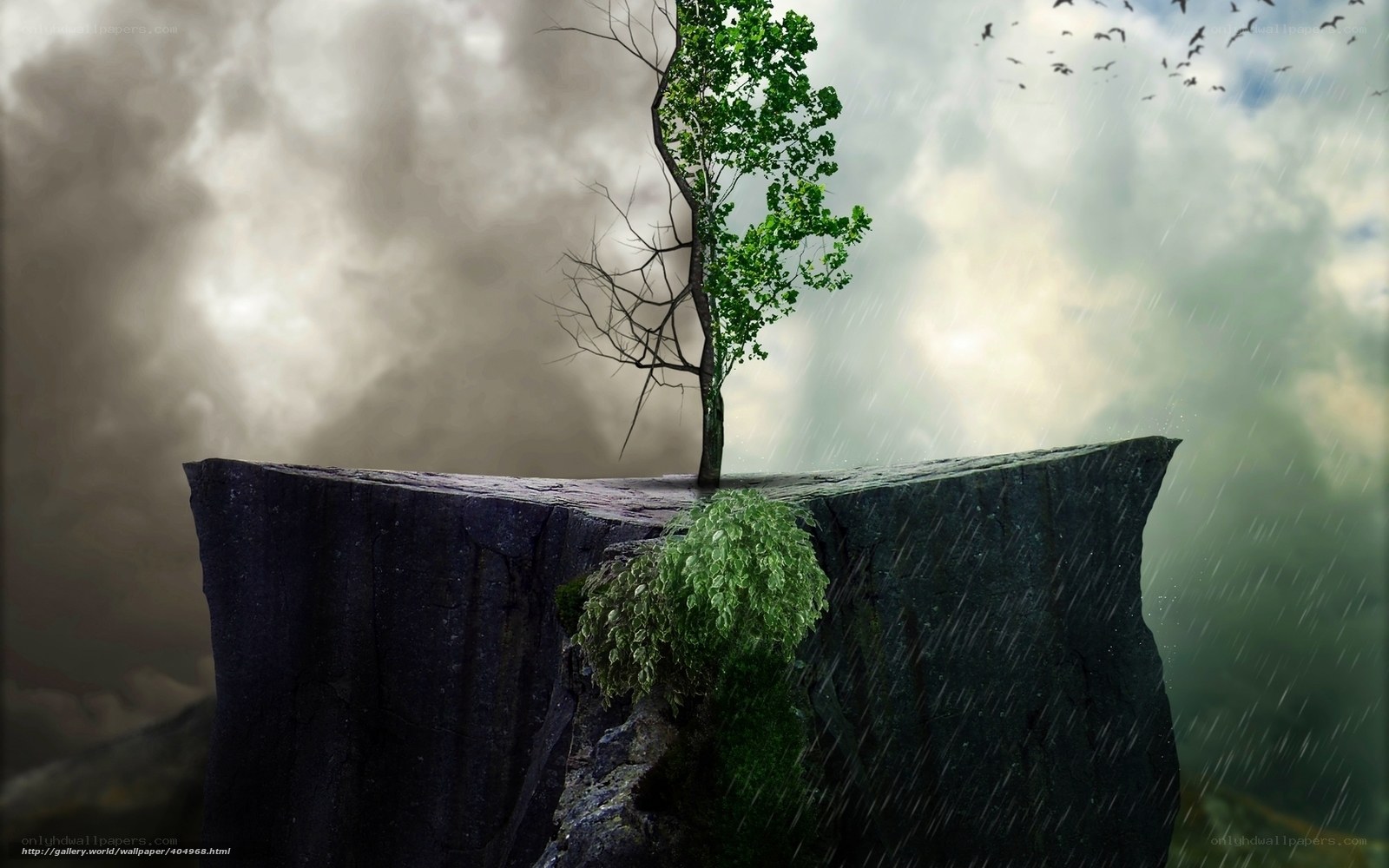 Solitary tree on a cliff