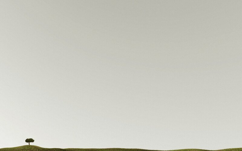 solitary tree on a hill