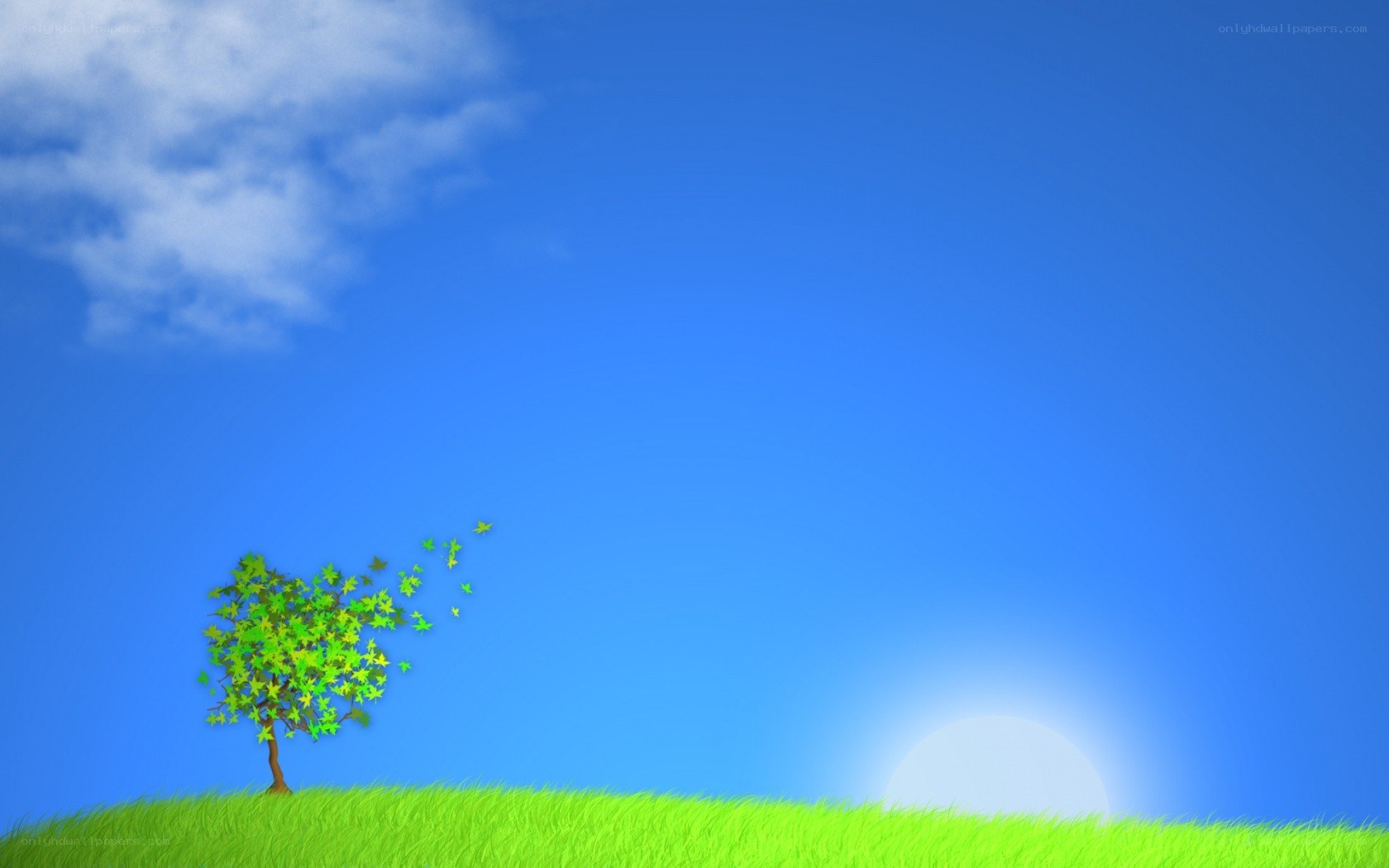 solitary tree on a hill