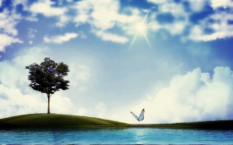 Solitary tree on a hill
