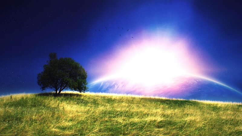 Solitary tree on a hill
