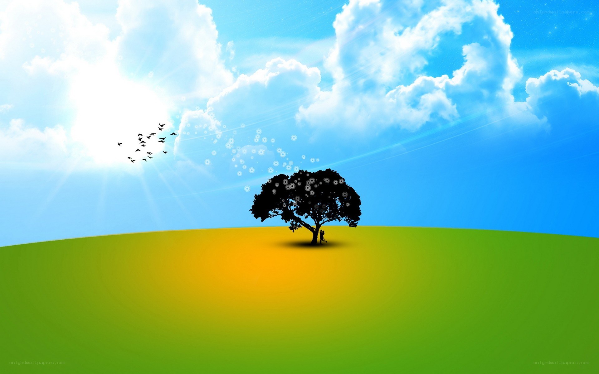 solitary tree on a hill