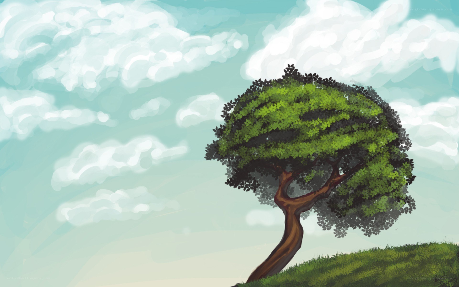 solitary tree on a hill