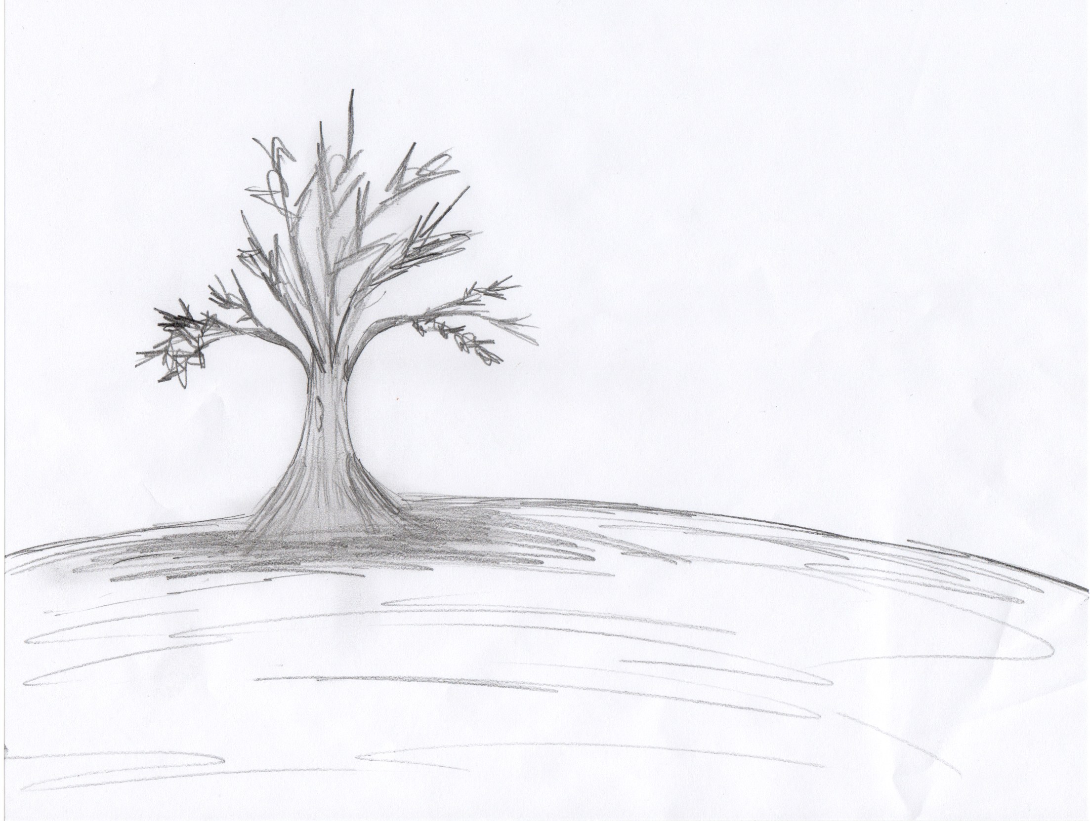 solitary tree on a hill