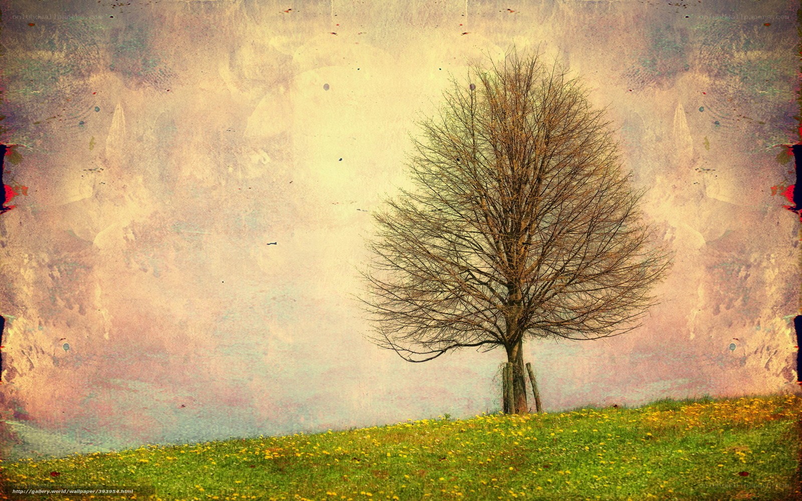 solitary tree on a hill