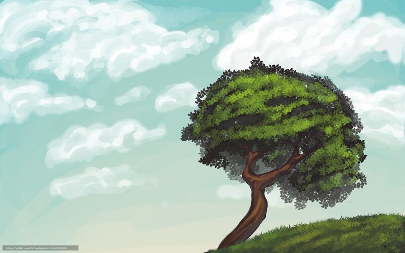 solitary tree on a hill