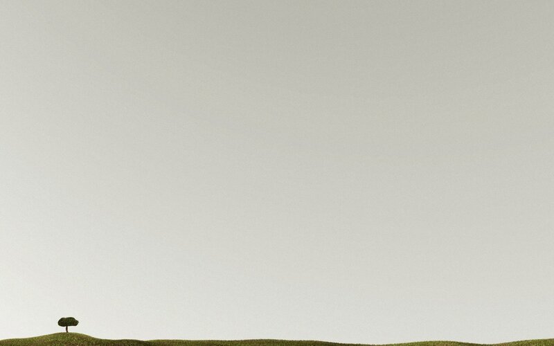 solitary tree on a hill