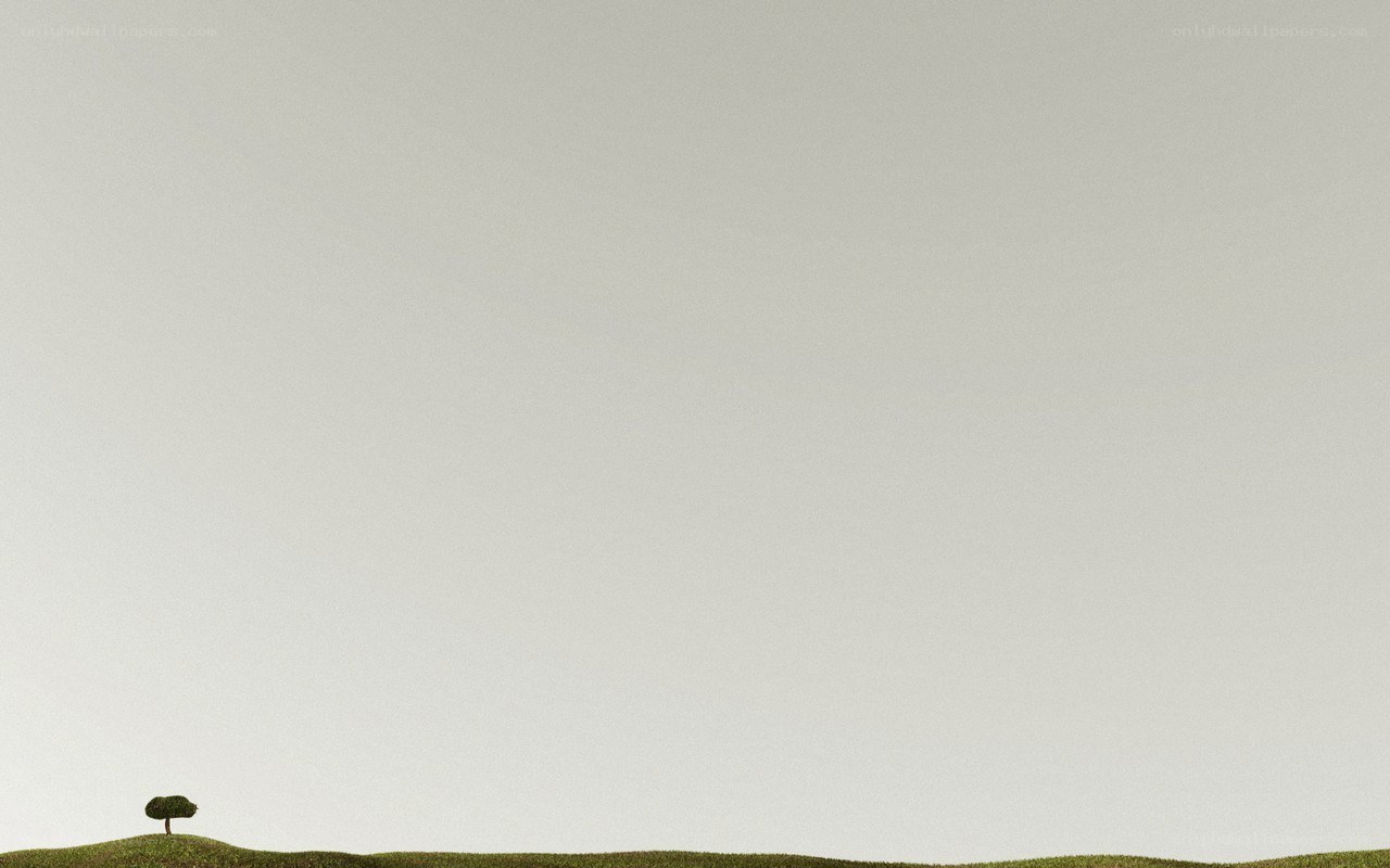solitary tree on a hill