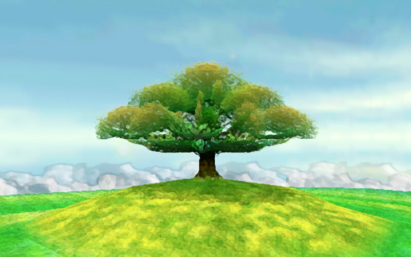 Solitary tree on a hill