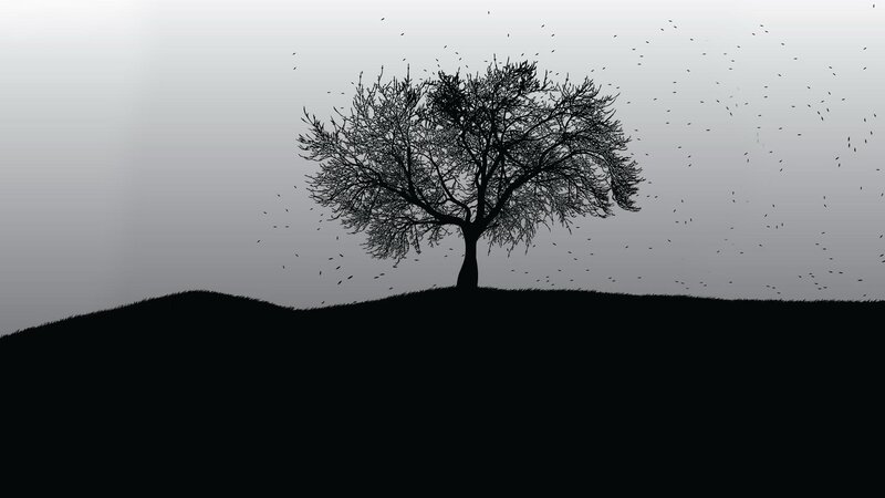 solitary tree on a hill