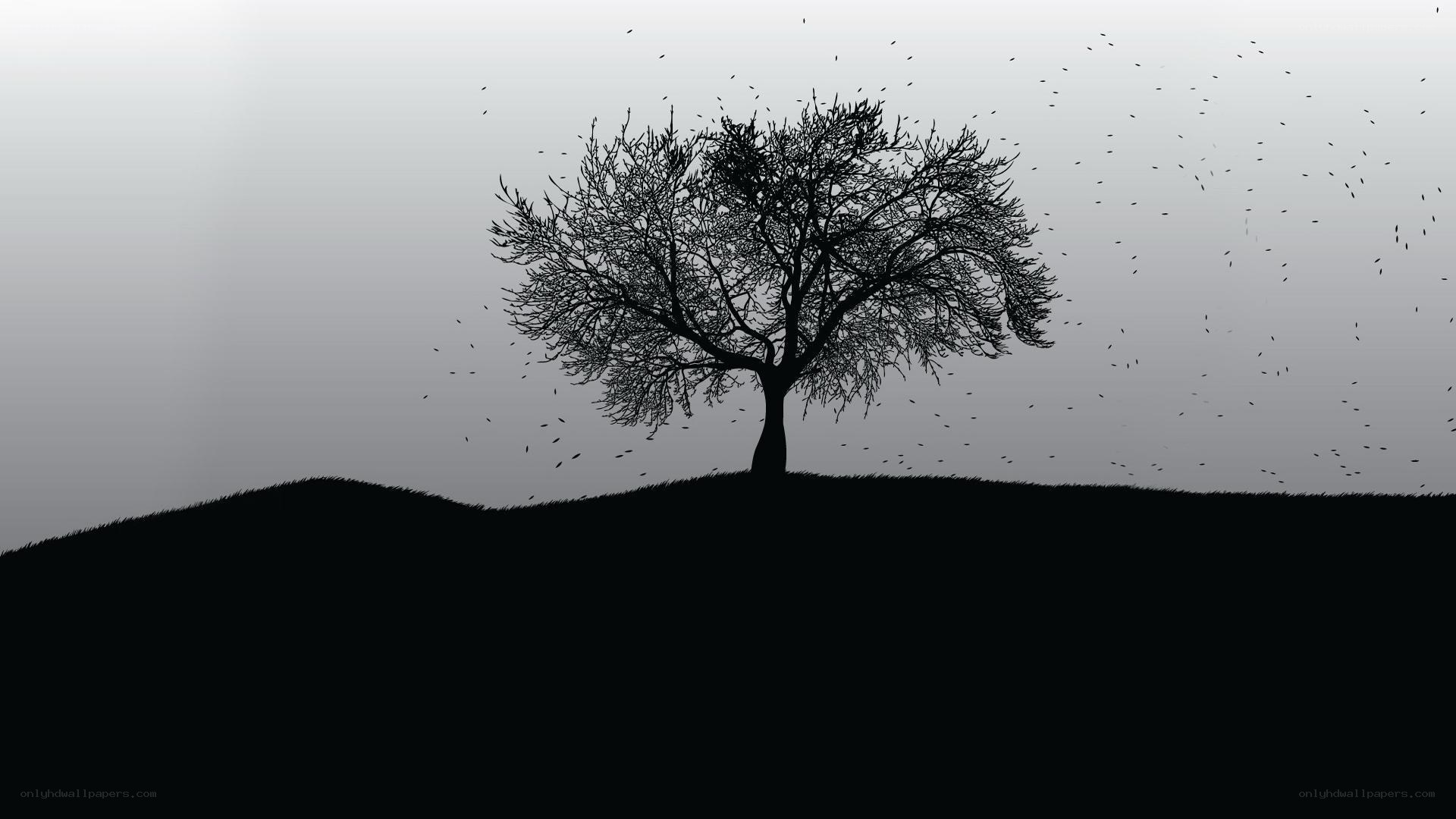 solitary tree on a hill