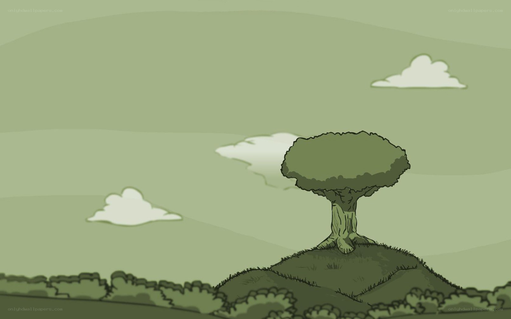 solitary tree on a hill