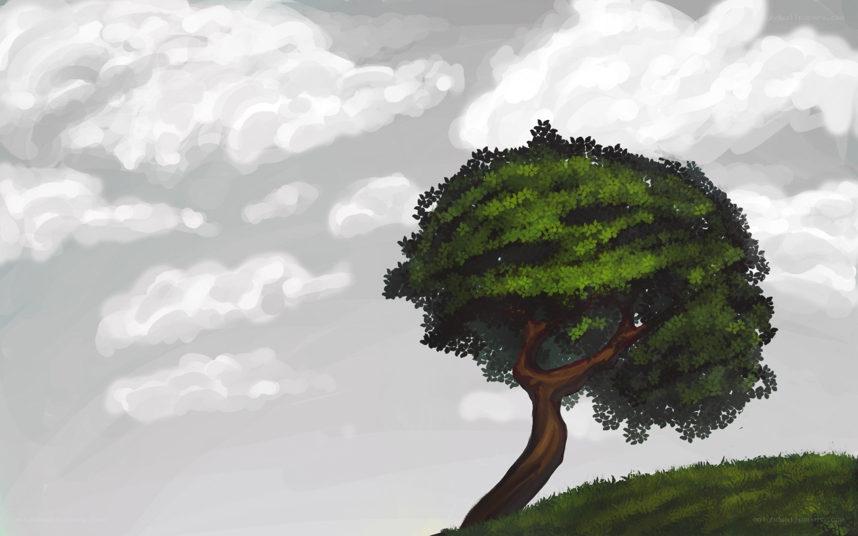 solitary tree on a hill