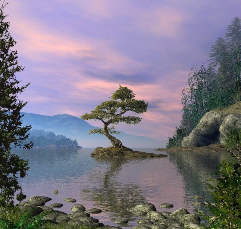 Solitary tree on a lake island