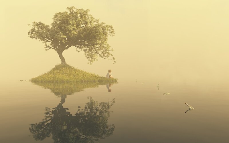 solitary tree on a misty island