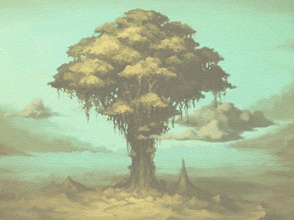 Solitary tree on a misty plain