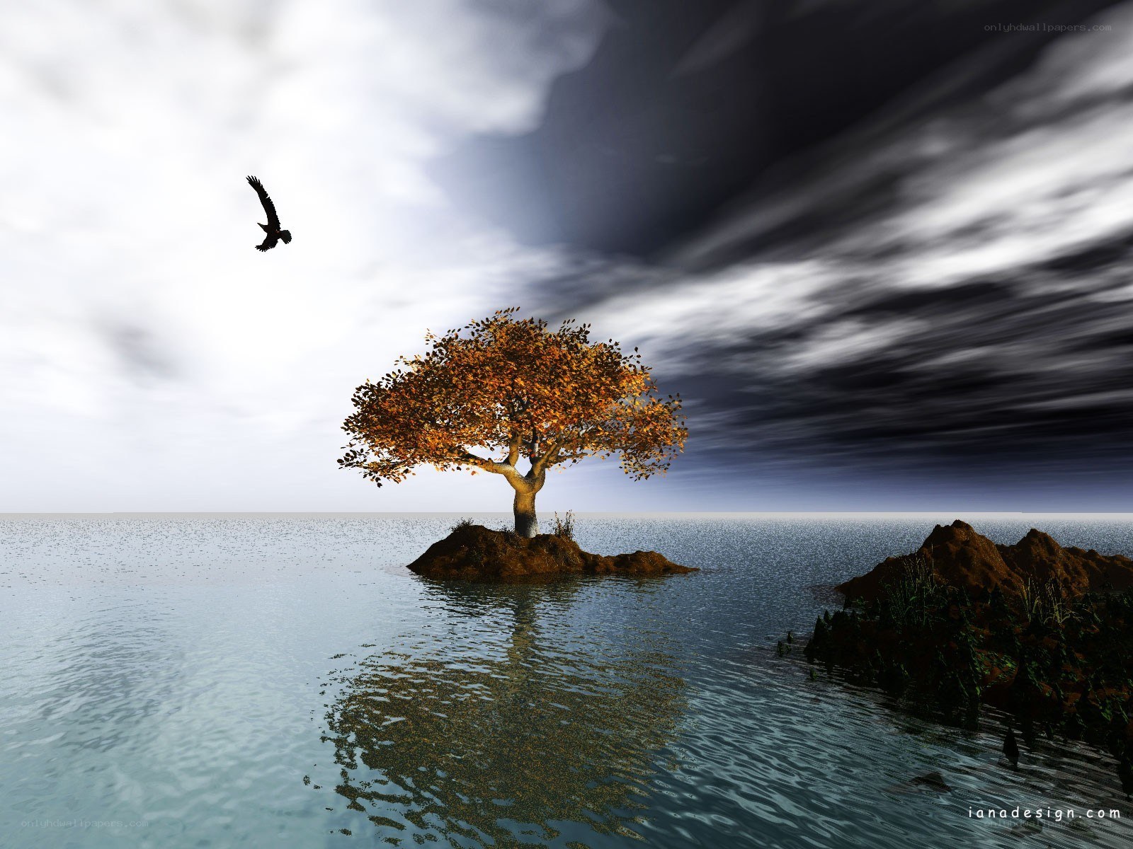 Solitary tree on a rock