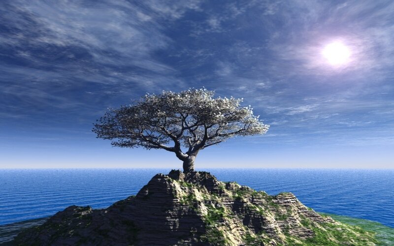 Solitary tree on a rocky island