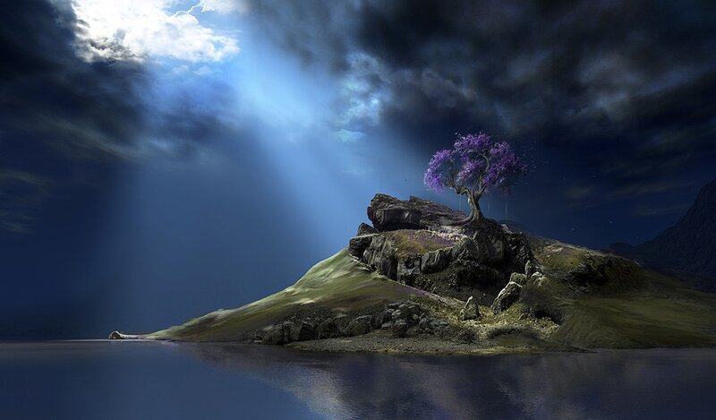 Solitary tree on a rocky island