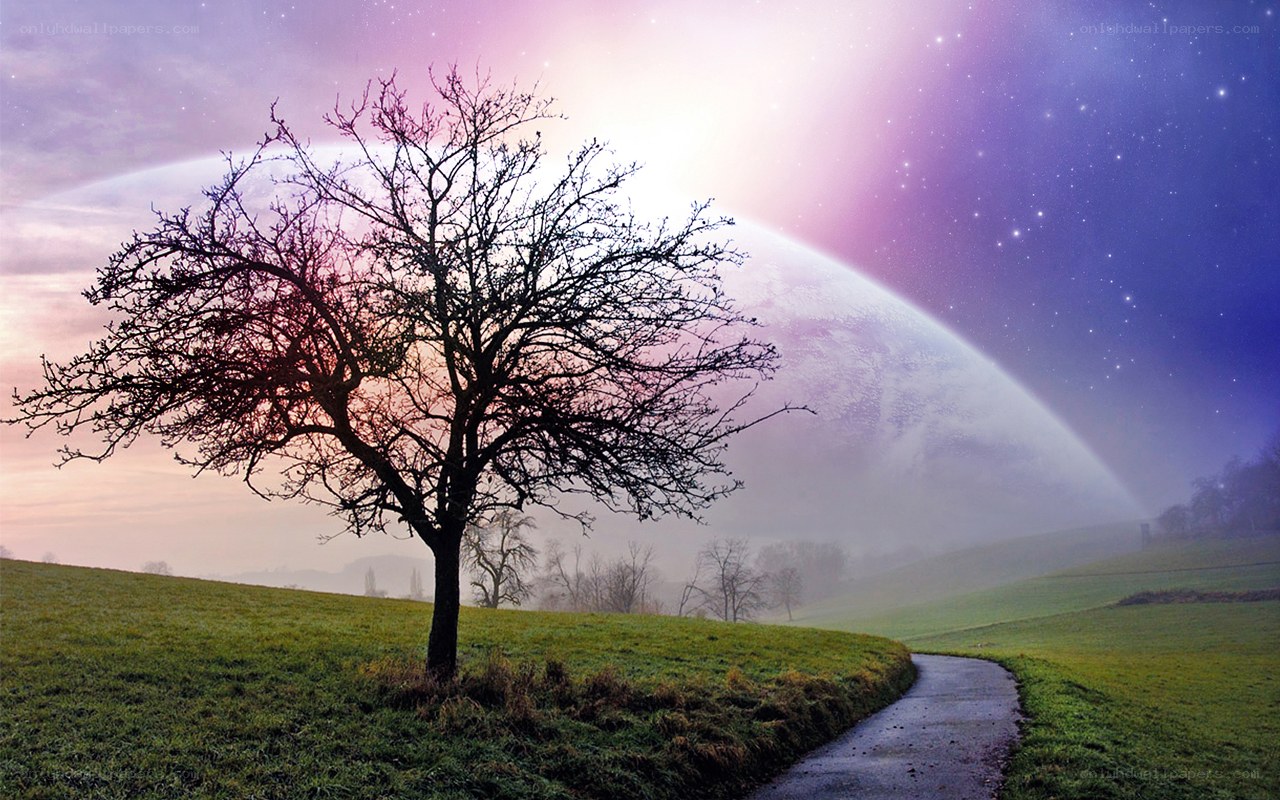 Solitary tree on alien planet